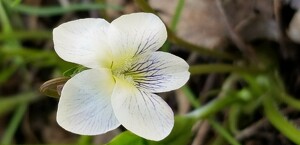 Fundraising Page: Kari Braun